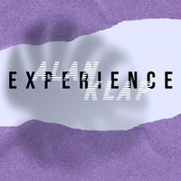 Alan Klap - Experience