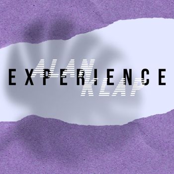 Alan Klap - Experience