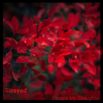 Strayed - Escape My Thoughts