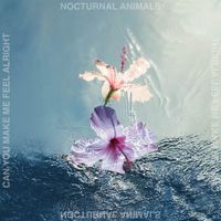 Nocturnal Animals - Can You Make Me Feel Alright