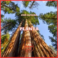 Dudu Capoeira - Planta