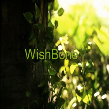 Tony G - Wishbone