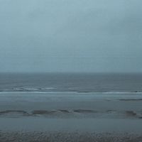 Randy - Shiny Silver, Not Quite Gold