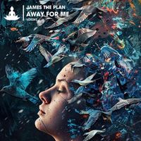 James The Plan - Away for Me