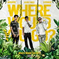 Star 2 - Where Would You Go? (feat. Luh Kel & SPRITE) (Explicit)
