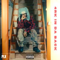 NicX - 4rk in da back (Explicit)