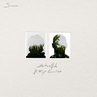 Simon - Hetzelfde