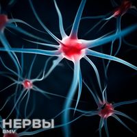 BMV - Нервы