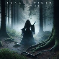 Black Spider - Finland