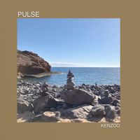 Kenzoo - Pulse