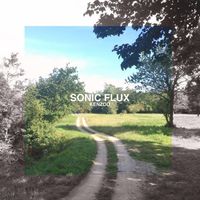 Kenzoo - Sonic Flux