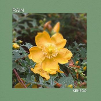 Kenzoo - Rain