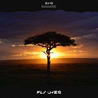DJ-12 - Maware