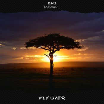 DJ-12 - Maware