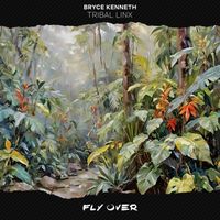 Bryce Kenneth - Tribal Linx