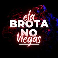 Dj Ted - Ela brota no Viegas (Explicit)