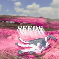 Chimes - SEEDS