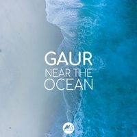 GAUR - Near the Ocean