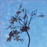 Lee Ranaldo - Take Me Up