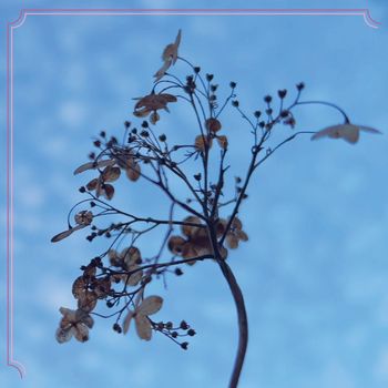 Lee Ranaldo - Take Me Up