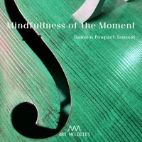 Damien Poupart-Taussat - Mindfulness of the present moment