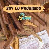 Moncho - Soy lo prohibido