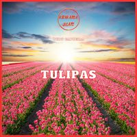 Dudu Capoeira - Tulipas