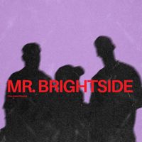 ItaloBrothers - Mr. Brightside