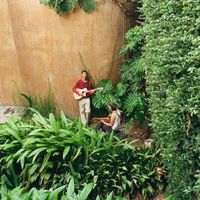 Hipnótica - Hipnotica (Sesión Acústica)