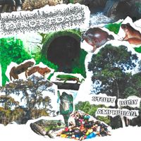 Pyroptosis - Stout Body Amphibian (Explicit)