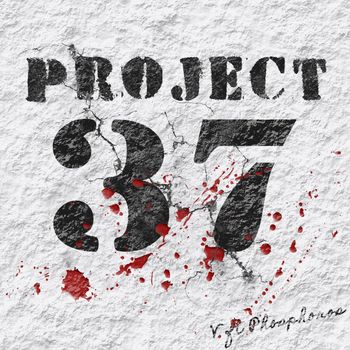 V - Project37