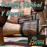 Adalberto Álvarez - Tumba, Timbal Y Bongó