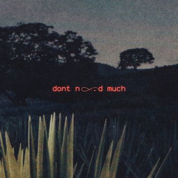 ZKY - Dont Need Much (Explicit)
