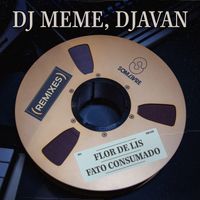 DJ Meme - Flor de Lis / Fato Consumado (DJ Meme Remixes)