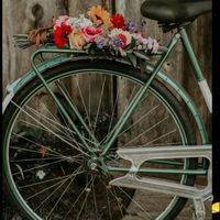 Naiara Costa Da Silva - ذكريات الصيف البعيد