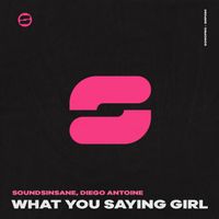 Soundsinsane, DIEGO ANTOINE - What You Saying Girl