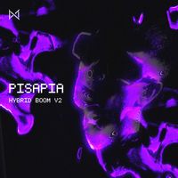 PISAPIA (IT) - Hybrid Boom V2