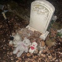 rarity - TakeUrSkinOFF