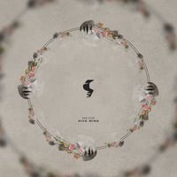 Meyer - Hive Mind