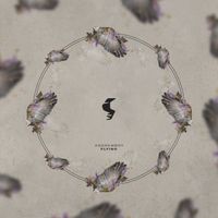 Andrewboy - Flying