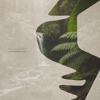 Audiofire (UK) - Polarized