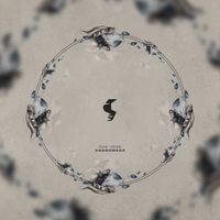Che Jose - Andromeda