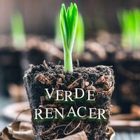 Lumi - Verde renacer