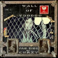 Wall of Voodoo - Far Side of Crazy