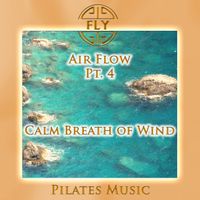 Fly - Air Flow, Pt. 4 - Calm Breath of Wind (Beat Version)