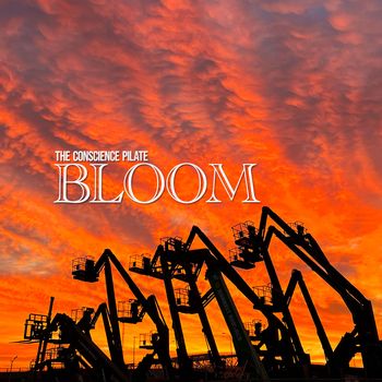 The Conscience Pilate - Bloom