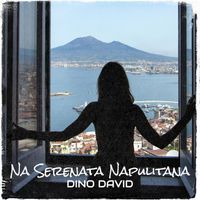 Dino DAVID - Na Serenata Napulitana