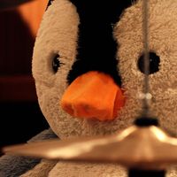 Tom Helsen - She's Like a Sunday