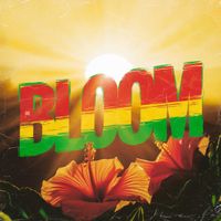 Mojo - Bloom