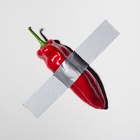 Vicco - STIC PAPRIKA
